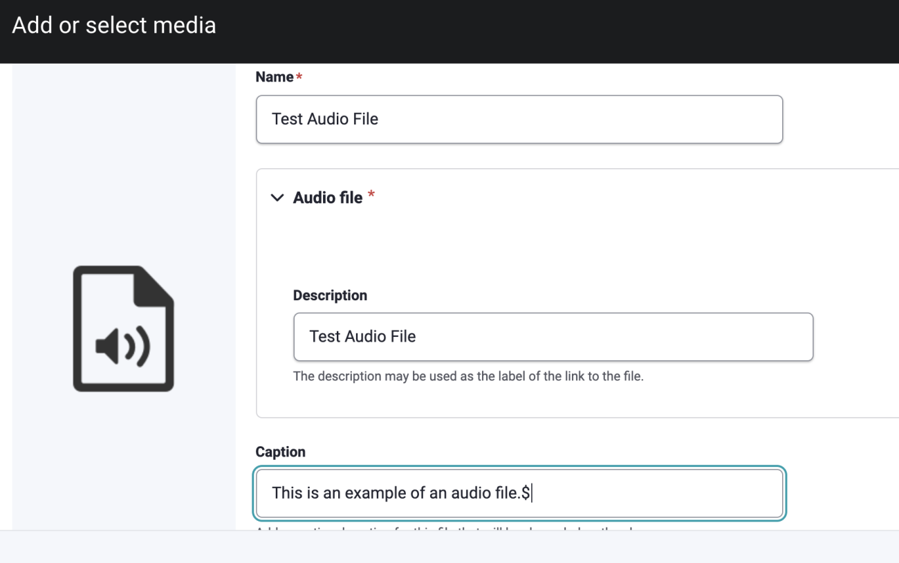 Naming and Captioning the Audio File