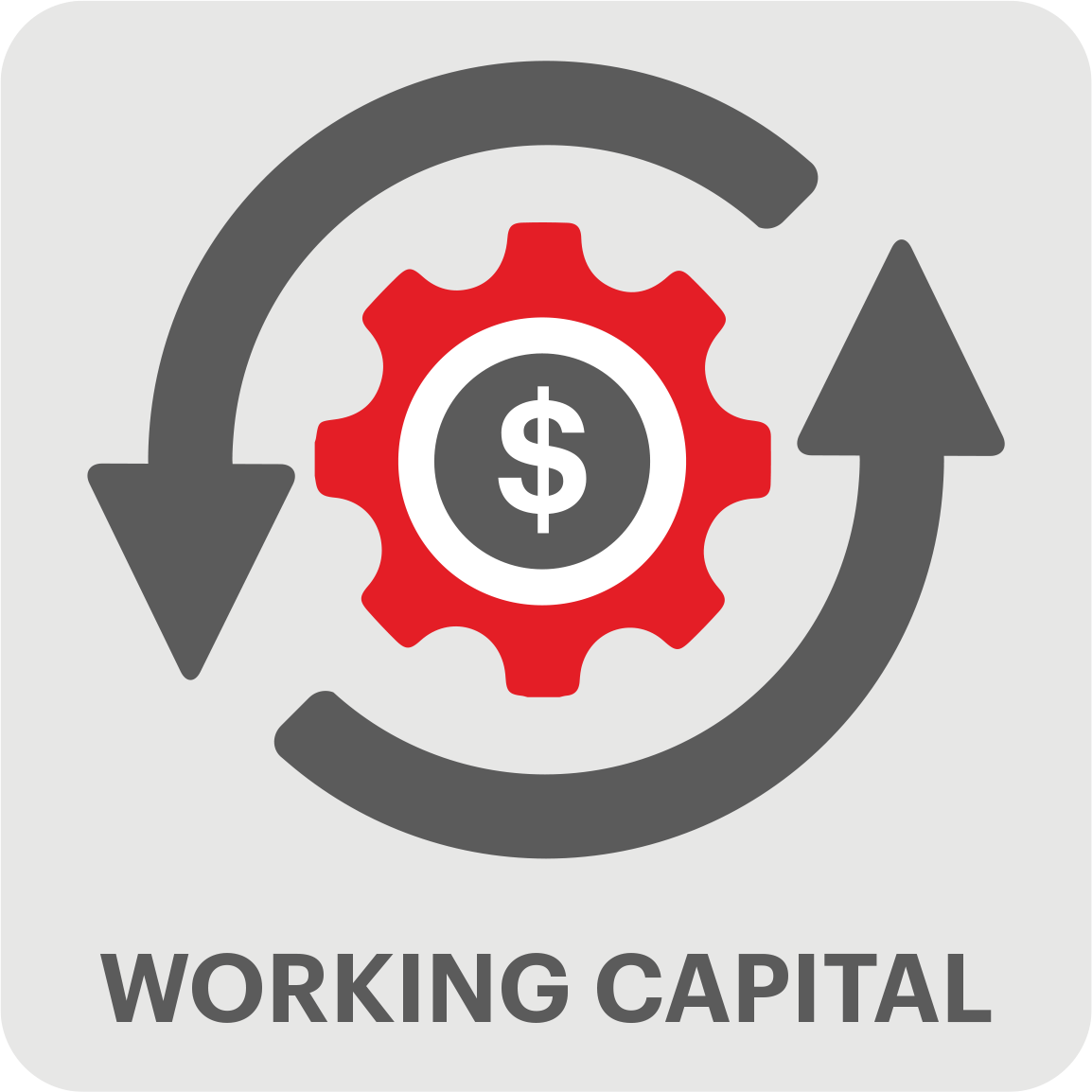 Working Capital Icon