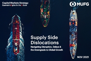 Supply Side Dislocations Market Publication