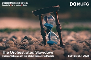 Orchestrated Slowdown Market Publication