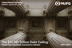 The $31 Trillion Debt Ceiling Market Publication