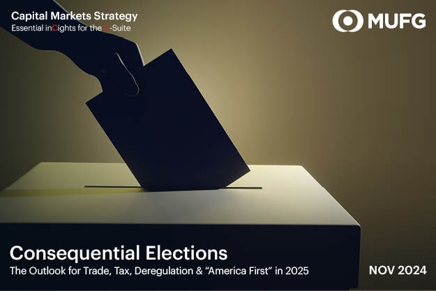 Consequential Elections - Election Ballot Box