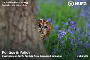 Owl peaking from behind tree - politics and policy
